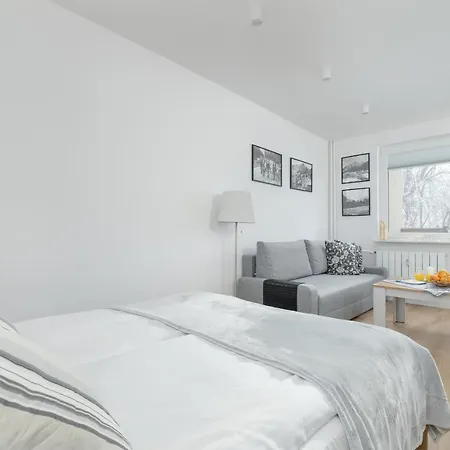 Apartment Mountain Corner In By Renters